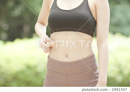 fat, fatty, subcutaneous fat 2991507