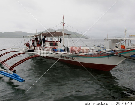 Pig across the sea 2991640