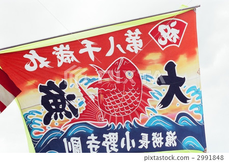 Big fishing flag 2991848