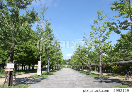 landscape, scape, scene 2992139