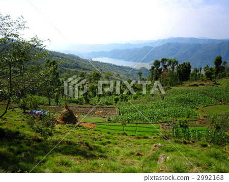 Heading from Nodara to Pokhara 2992168