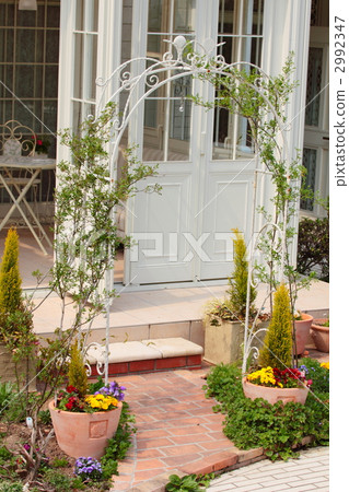 Container garden parasite Container garden parasite 2992347