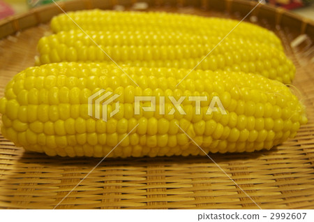 Corn Corn 2992607