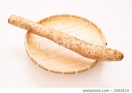 中國山藥 2992614