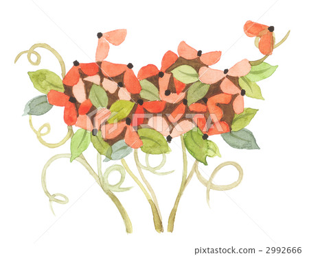 抽象花橙色 2992666