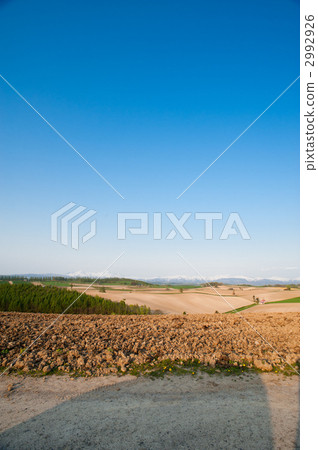 美瑛 美瑛町 景點 2992926