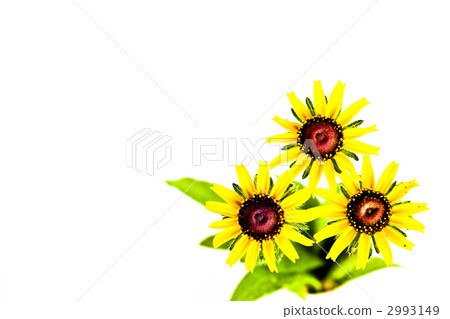 Ludovce Ludovce 2993149