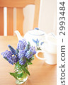 Muscari-01 ■ Flower · Grape hyacinth · Ivy · Mug · Teapot 2993484