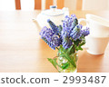 Muscari-02 ■ Flower · Grape hyacinth · Ivy · Mug · Teapot 2993487