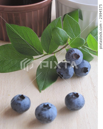 Okutobu明星cocotte Okutobu明星cocotte 2994575