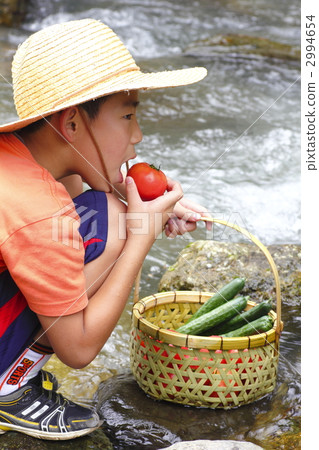 兒童和番茄 2994654