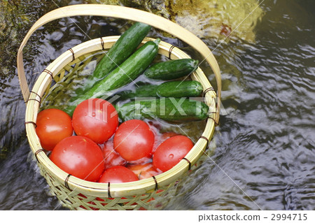 Vegetables to chill in the river Vegetables to chill in the river 2994715