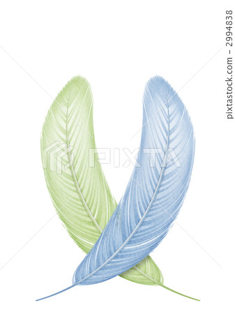 鳥的羽毛的例證 2994838