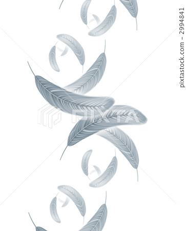 羽毛飄落 羽毛飄落 2994841