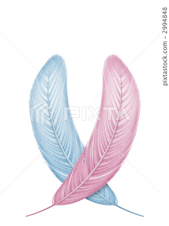 bird's feathers, feather, shuttlecock 2994848