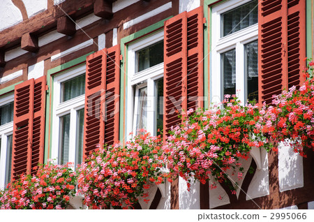 德國小牛樹大廈大廈 2995066