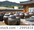 A pot in the garden 2995818