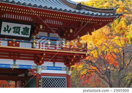 Katsuoji Sanmon 2995908