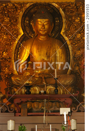 Amida Birai 2995933