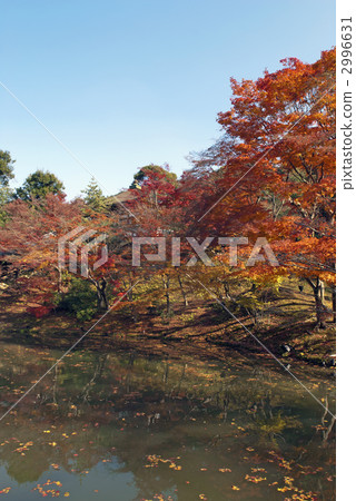 秋天的Kodaiji寺月亮池塘 2996631