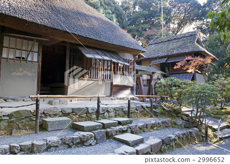 Kodaiji Umletei Tatei Kodaiji Umletei Tatei 2996652