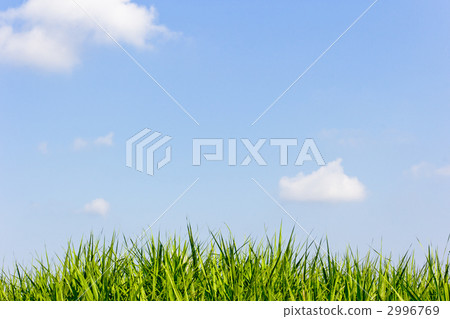 Blue sky Blue sky 2996769