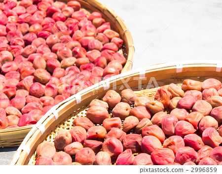 Umeboshi Umeboshi 2996859