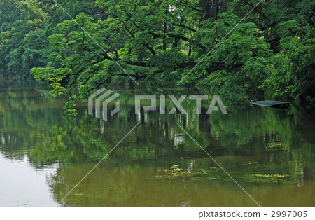 鶴岡步行/鶴岡公園護城河護城河 2997005