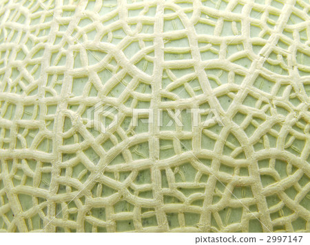 面膜甜瓜 2997147