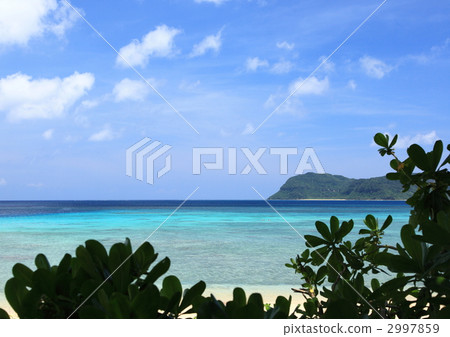 ida beach, iriomote-jima, iriomote island 2997859