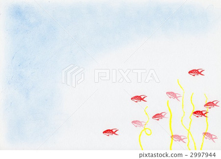 cherry anthias, hand drawn, handdrawn 2997944