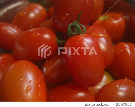 mini tomato, miniature tomato, tomato 2997962