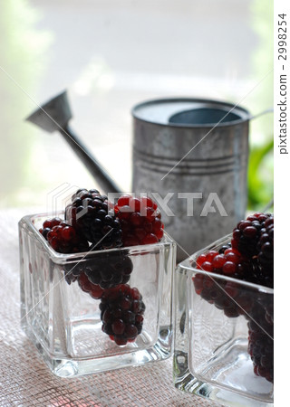 blackberry, daily necessities, tableware 2998254
