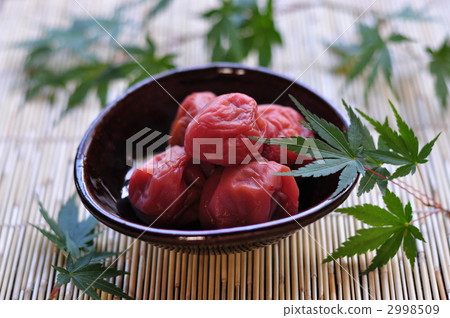 Salted plum  2998509