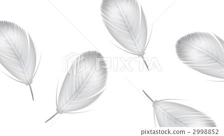 羽毛 羽衣 羽 2998852
