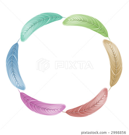 Colorful feathers 2998856