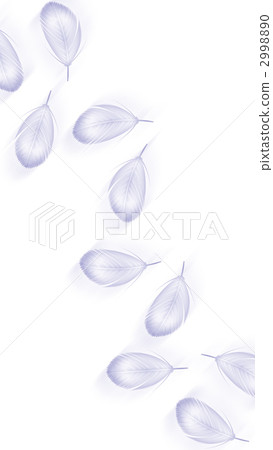 bird's feathers, feather, wing 2998890