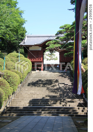 The immortal gate of Gokokuji The immortal gate of Gokokuji 2999056