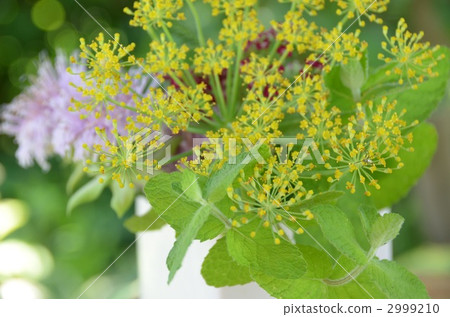 Herbal flower 2999210