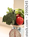 weight-loss, weightloss, health 2999245