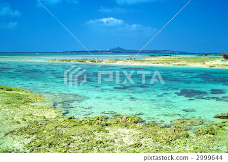 翡翠綠海 2999644