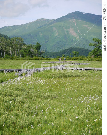 Oze Uedayo的Mogherland 2999805