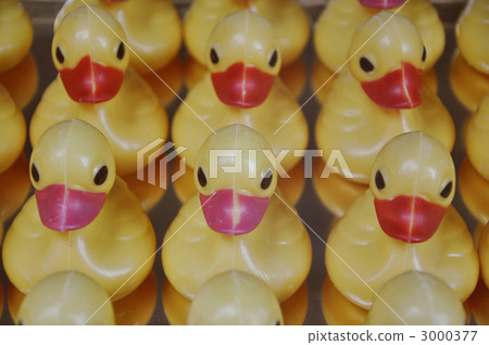 Duck duck duck 3000377