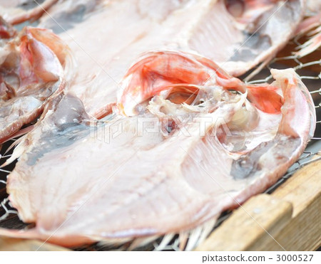 Dried morning of Ebodai 3000527