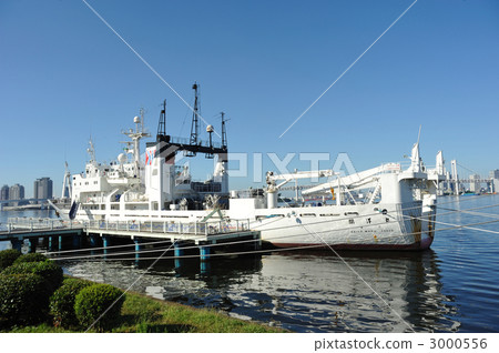 Hirakiyomaru 3000556