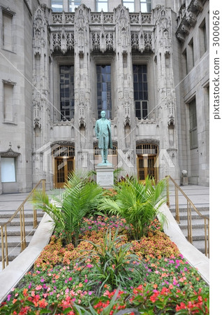 Chicago Nathan Hale 3000626