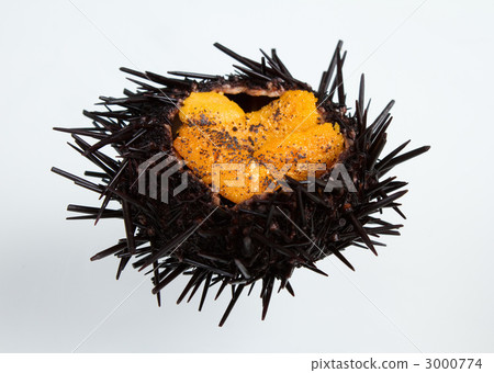 Seiyaki Seiyaki 3000774