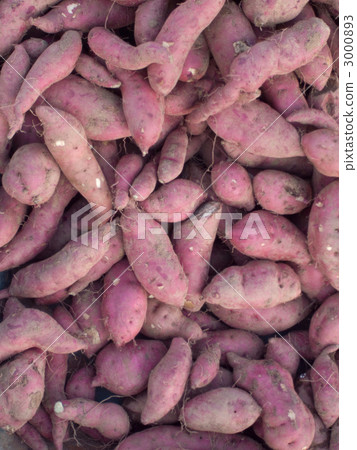 Sweet potato 3000893