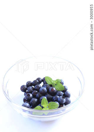blueberry blueberry 3000955