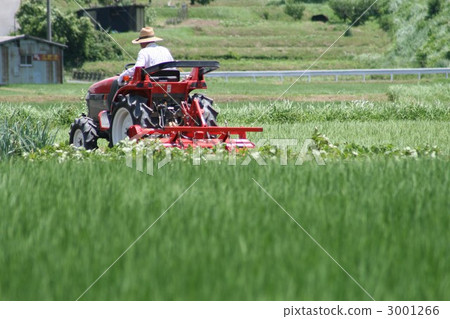 Tractor 010 Tractor 010 3001266
